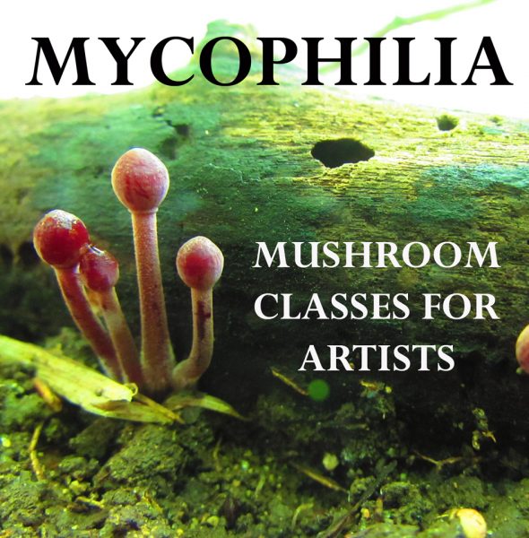 Mycophilia: Mushroom school for artists